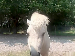 Horny pornstar in fabulous voyeur, striptease porn video