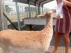 Horny pornstar in fabulous voyeur, striptease porn video