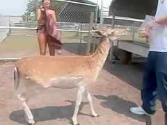 Horny pornstar in fabulous voyeur, striptease porn video