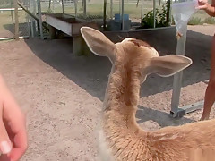 Horny pornstar in fabulous voyeur, striptease porn video