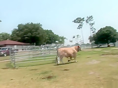 Horny pornstar in fabulous voyeur, striptease porn video