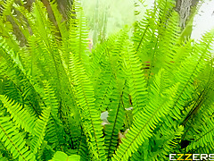 Alexis Fawx, Monique Alexander,Rachel Starr In A Side Piece Of Pornstars