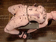 Nerine Mechanique in Extreme Torment, Brutal Device Bondage, And Screaming Orgasms - DeviceBondage