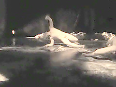 Naked on Stage 185 Nude Fragmentos Natalia Cuellar