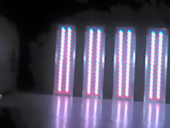 Sexy Fashion Week Micro Bikini Boom Sexy