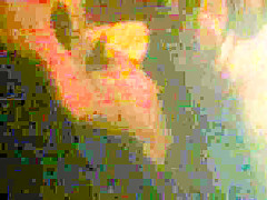 Diamond film soul sauna