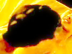 Snr celebrity surprise boom