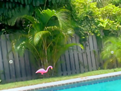 Hottest pornstars in Fabulous Blowjob, Big Tits porn scene