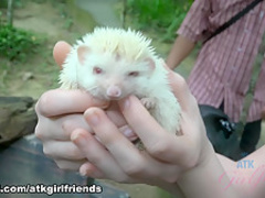 Horny pornstar Emma Evins in Fabulous Redhead, POV porn clip