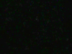 Spartacus S03 Katrina Law