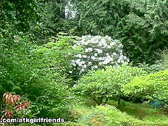 Hottest pornstar Caley Hayes in Exotic College, Reality xxx video