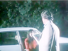 Brooke West, Randy West, Candy Cummings - Playing with Fire (1983)