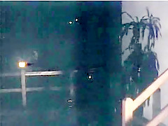 Brooke West, Randy West, Candy Cummings - Playing with Fire (1983)