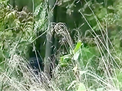 Girls who pee outdoors