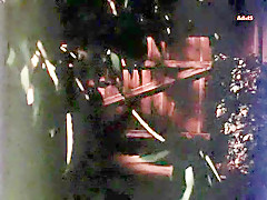 Cheri Mann - Sex Scene from Teenage Bride (1975)