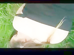 British amateur college girl outside