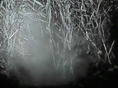 Muck (2015) Lauren Francesca