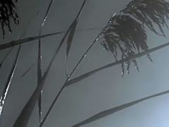 Muck (2015) Lauren Francesca