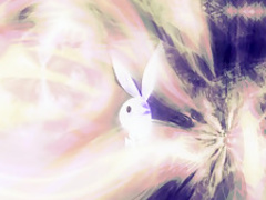 Incredible pornstar in Fabulous Lingerie, Solo Girl adult movie