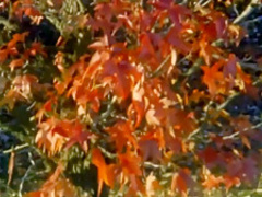 Florencia Pineyro, Celeste Gonzalez & Arvil Pilot - Sexomnia Ep 02