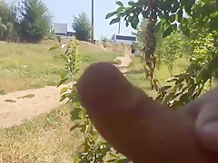 Public dick flash compilation