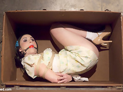 Veruca James in Molested Puppet - HogTied