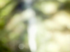 Raven Alexis in Pleasure Spa