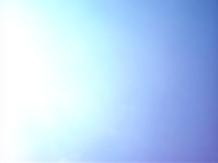 Running in the woods