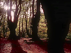 Sexy Fashion Pamm Hogg Kingdom Come 2