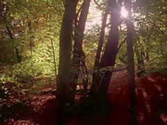 Sexy Fashion Pamm Hogg Kingdom Come 2