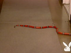 Horny pornstar in Exotic Funny, Big Tits adult movie