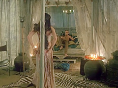 Kate Groombridge in 'Virgin Territory' (2007)