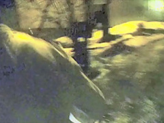 Korrozia Metalla Vodka Girls Nude on Hard Metal