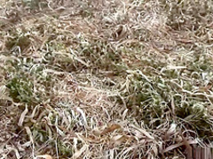 Horny pornstar in hottest amateur, masturbation xxx clip