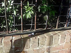 Horny pornstar Victoria Summers in incredible outdoor, big tits adult clip