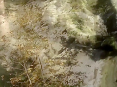 Brandin Rackley In 'Pleasure Spa'