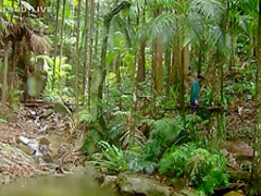 Micaela Schaefer Ich Bin Star