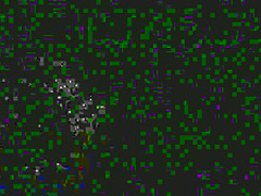 Private Nude Catwalk