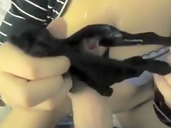 Amazing amateur POV, Handjobs sex video