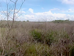 Horny pornstar in fabulous black and ebony, interracial porn clip