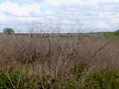 Horny pornstar in fabulous black and ebony, interracial porn clip