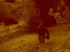 Fabulous pornstar Lizz Tayler in amazing big tits, cumshots sex clip