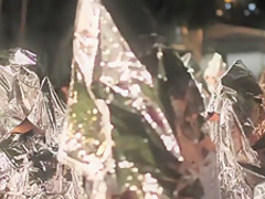 Naked on Stage NoS 318