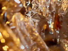 Naked on Stage NoS 318