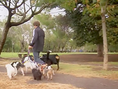 Horny pornstar in Exotic Reality, Big Tits xxx movie