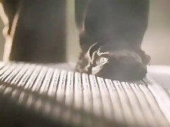 Jasmin Carina, Amanda Moon Ray, Andy San Dimas, Athena Paxton, Ciara Flynn - Lumberjack Man (2015)