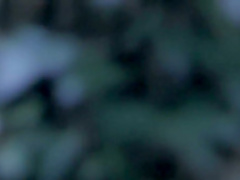 Natalie Dormer - The Tudors S01 (2007)