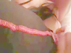 Leiila beurette salope soumise aux grosses bites