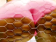 KawaiiKid Booty Bounce