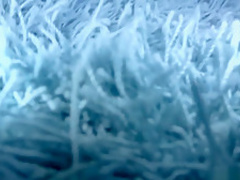 Hottest pornstar Bobbi Starr in incredible brazilian, swallow xxx video